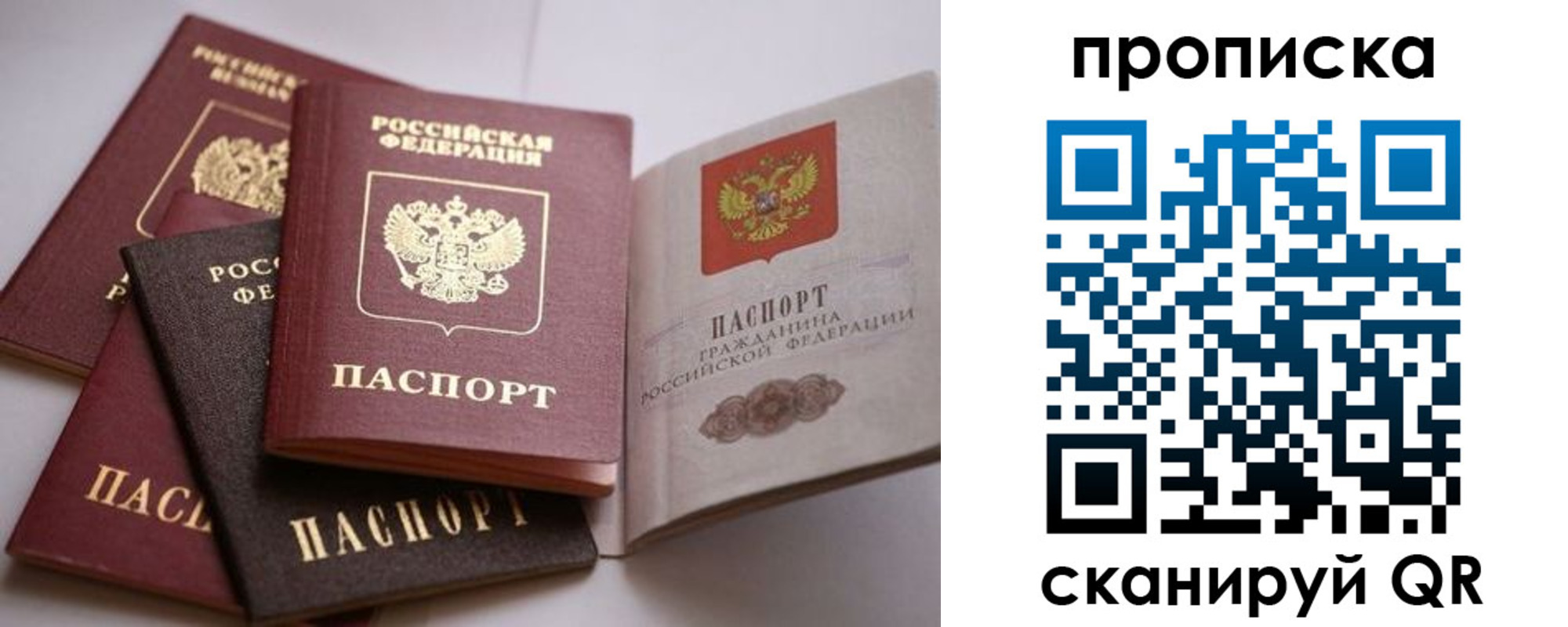 прописка ребенка в Вязьме